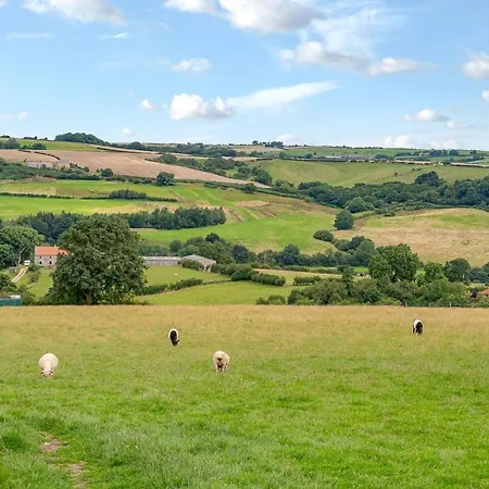 High Moor - Luxury Cottages Whitby