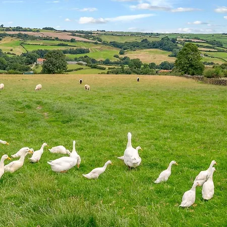 High Moor - Luxury Cottages Dom wakacyjny Whitby